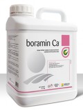 boramin Ca